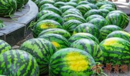 学校网红椅子吃瓜